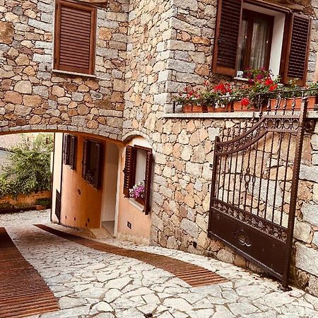 B&B Peonia Оргозоло Экстерьер фото