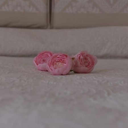 B&B Peonia Оргозоло Экстерьер фото