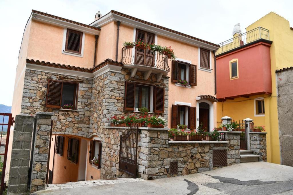 B&B Peonia Оргозоло Экстерьер фото